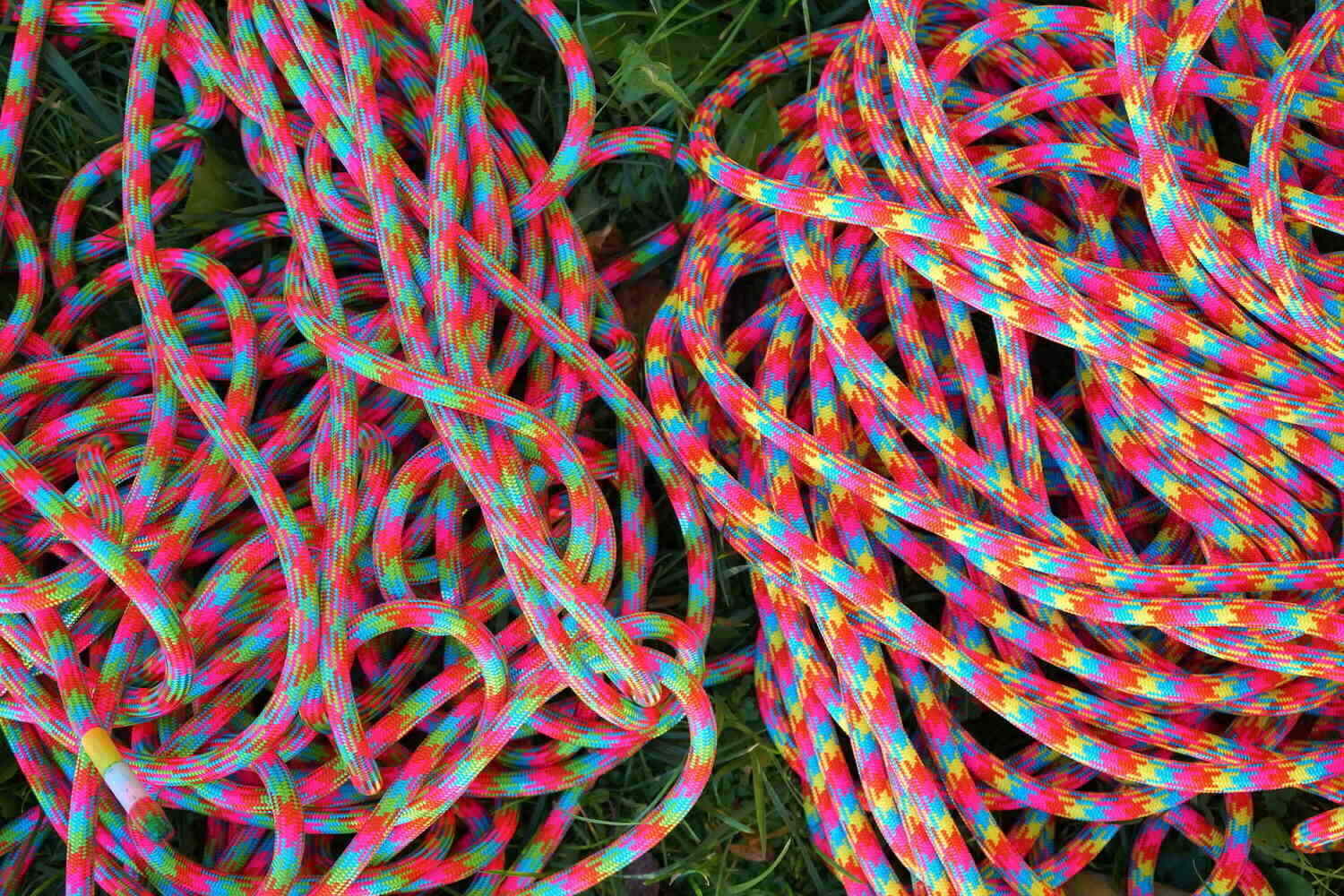 Oblékli jsme lana do Neonu