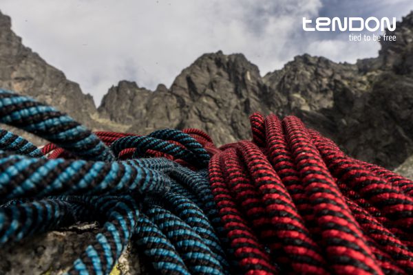 Master 7.8.jpg Master 7.8.jpg