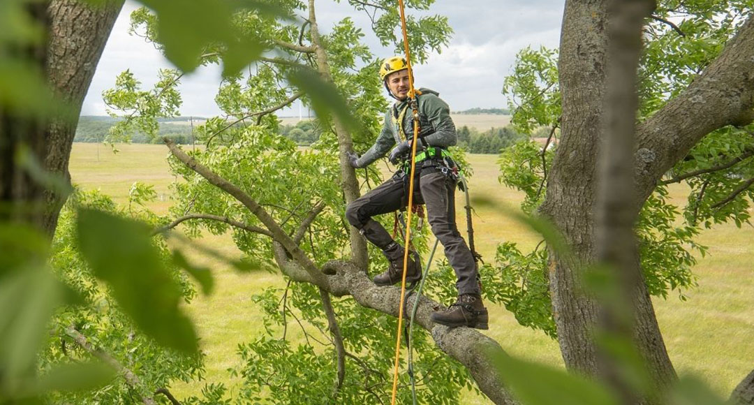 Kompletní výbava pro stromolezce